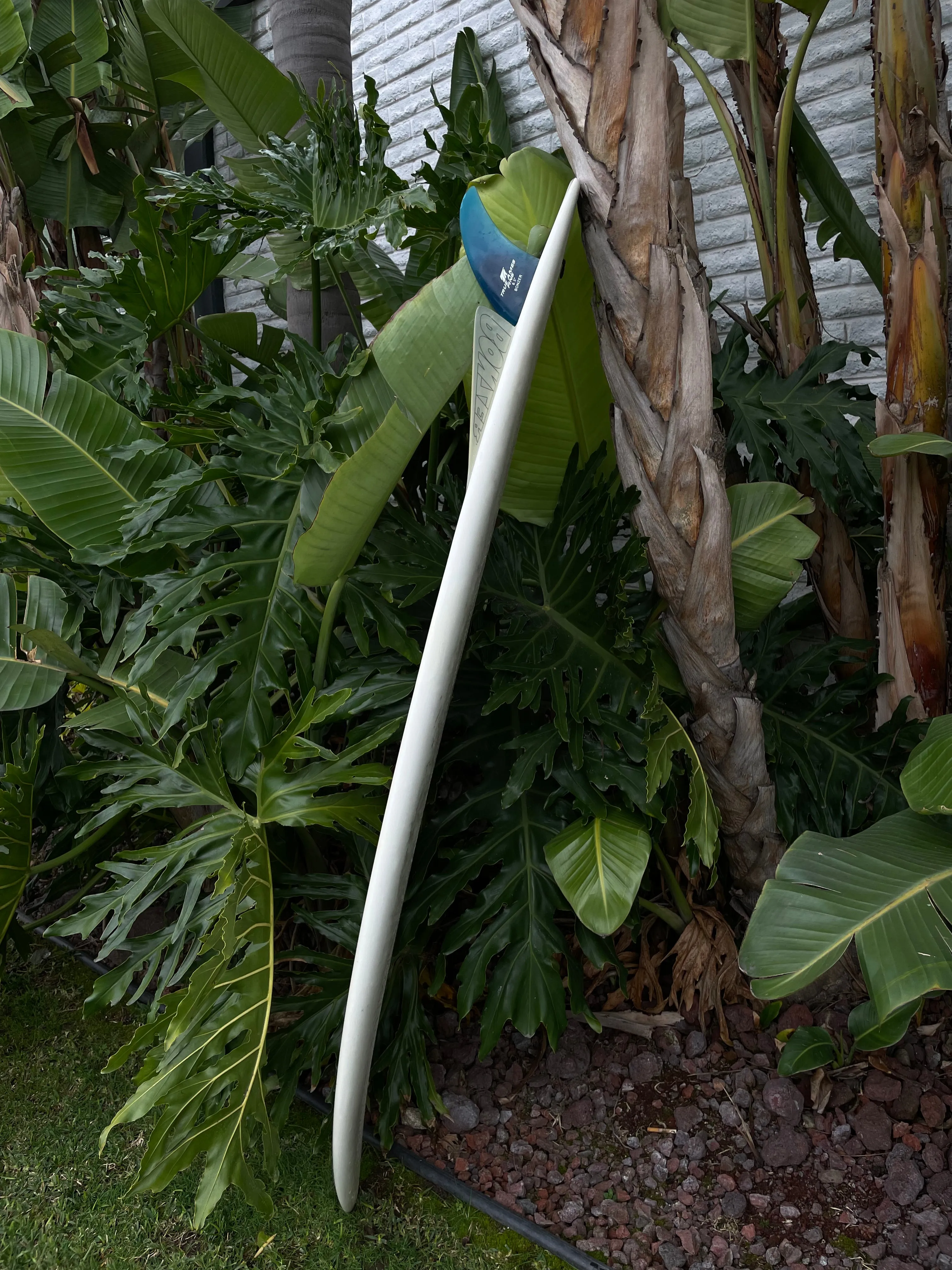 6'4" Campbell Bros Russ Short (Used)