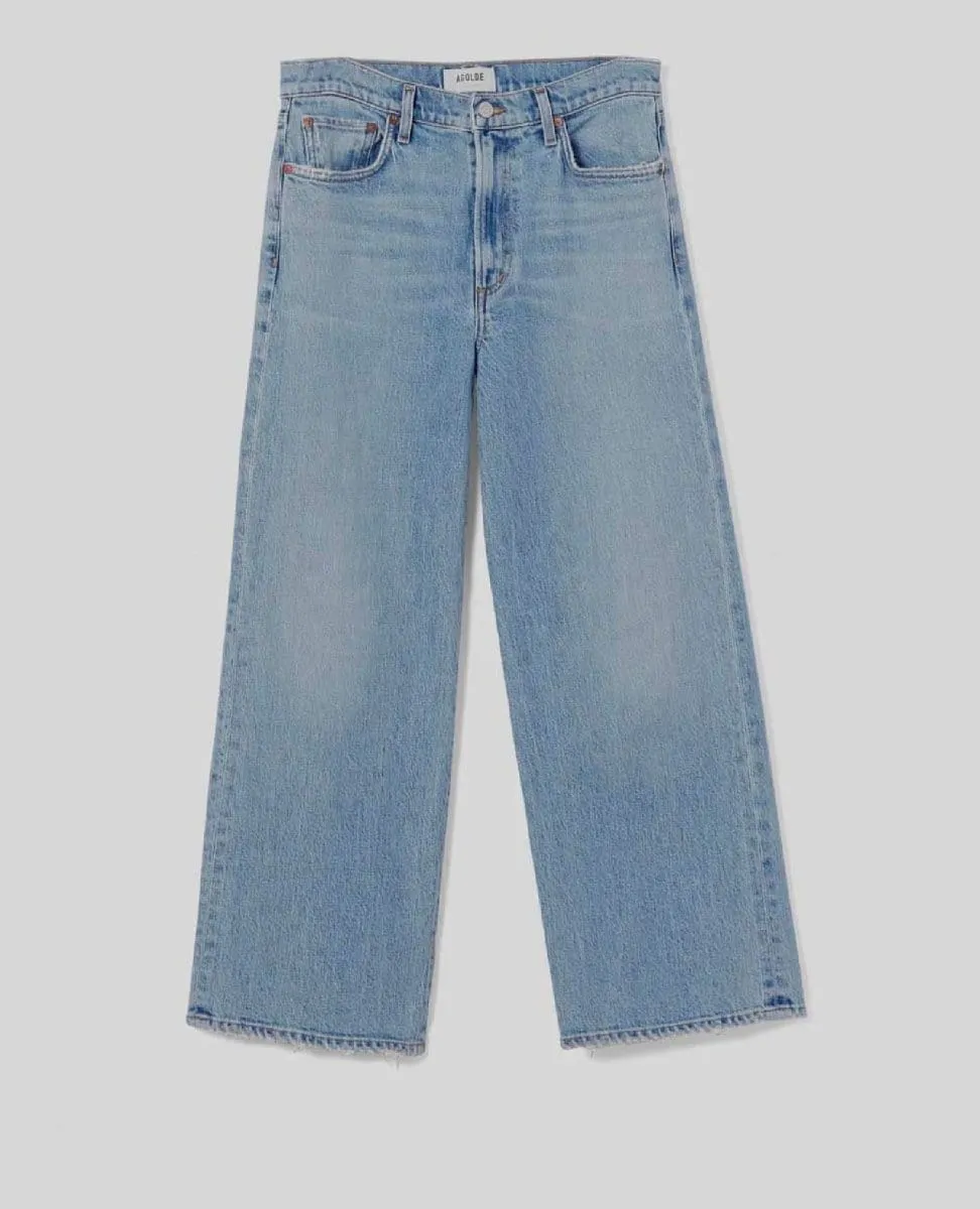Agolde Boyfriend Harper Jeans in Hassle