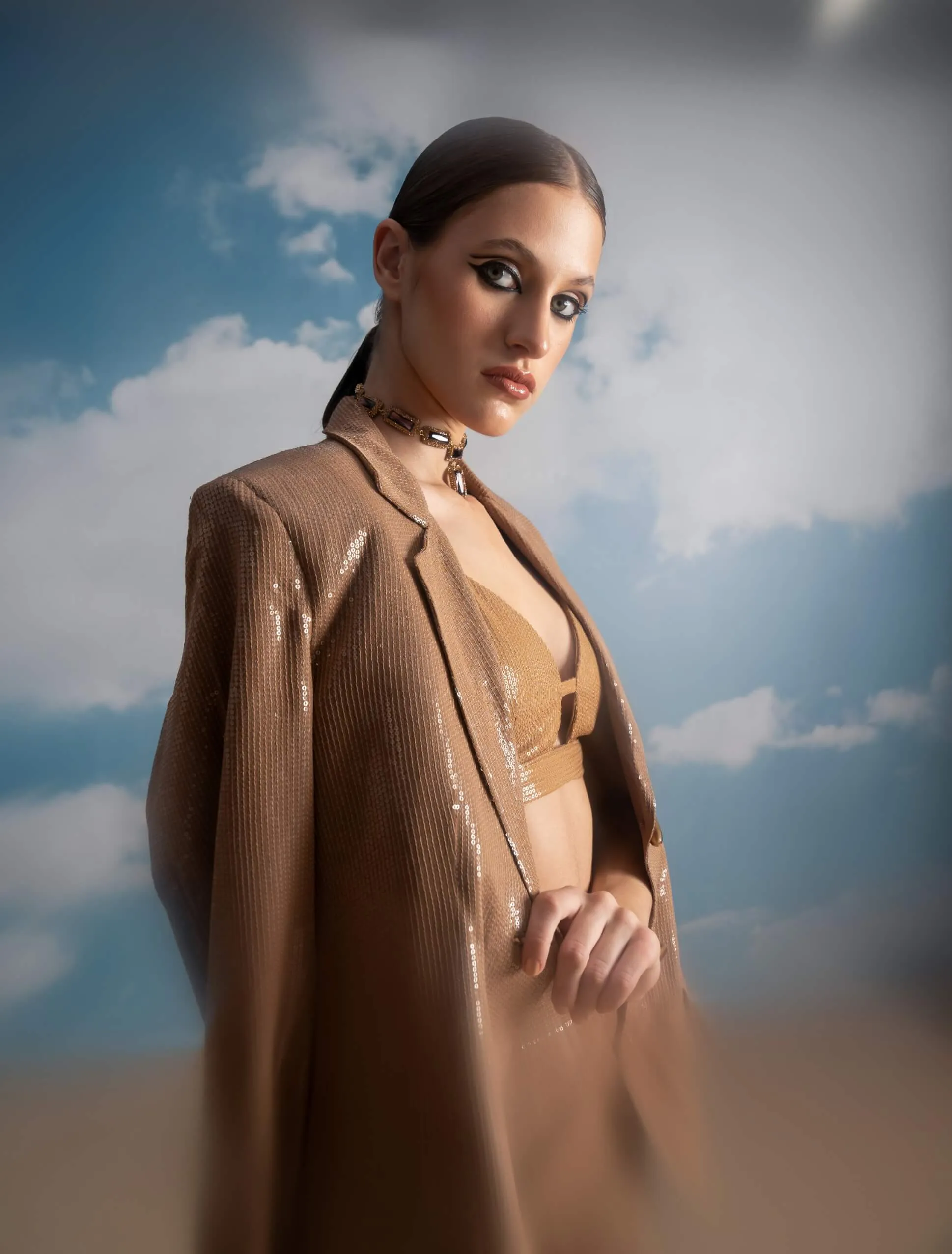 Beige luxe sheeted sequins pantsuit set