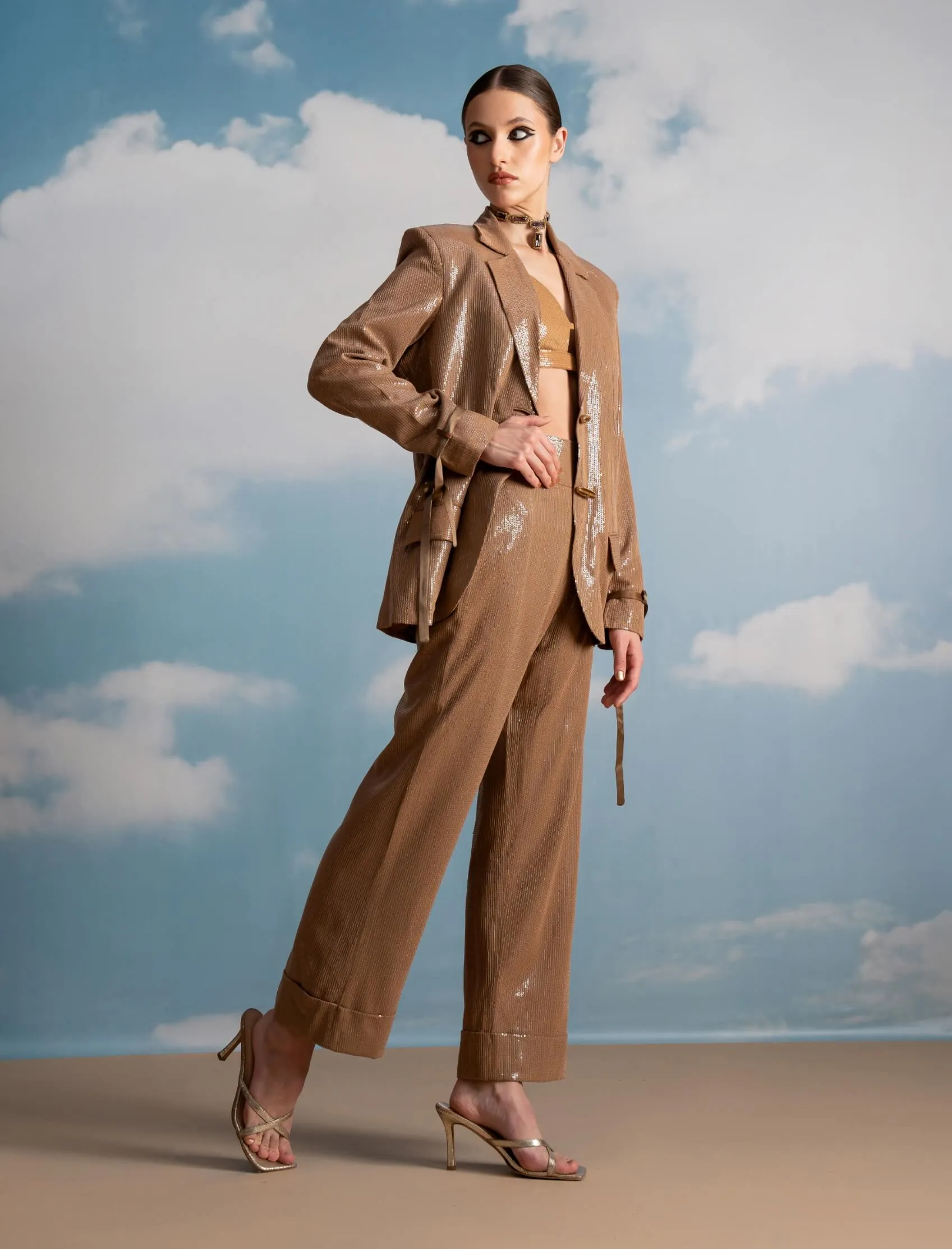 Beige luxe sheeted sequins pantsuit set