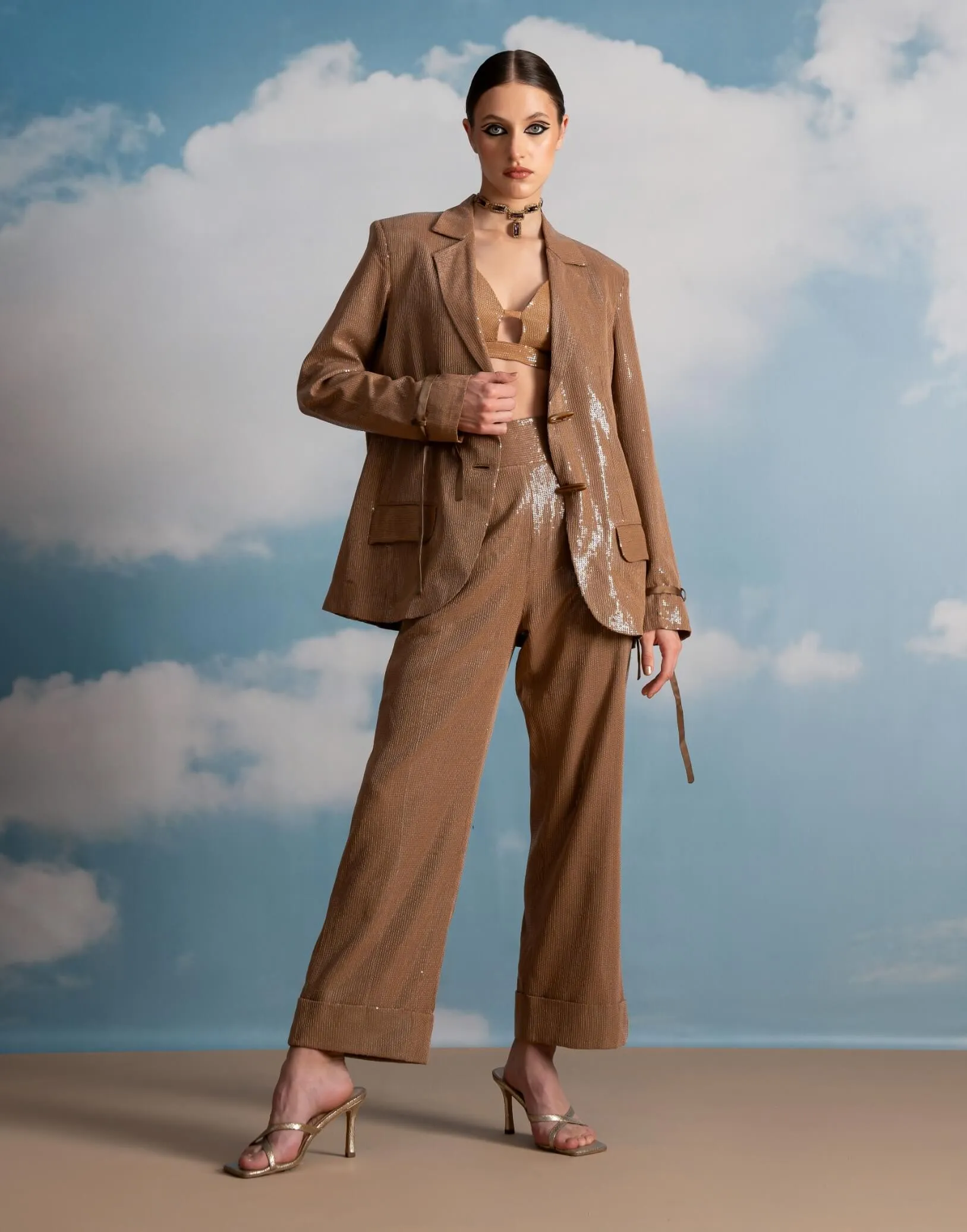 Beige luxe sheeted sequins pantsuit set