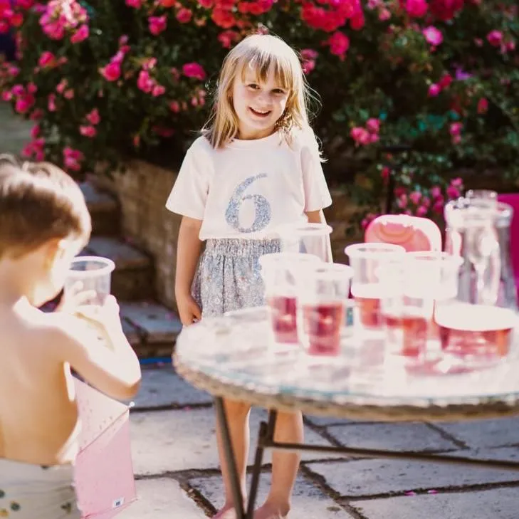 Birthday t-shirt & skirt set