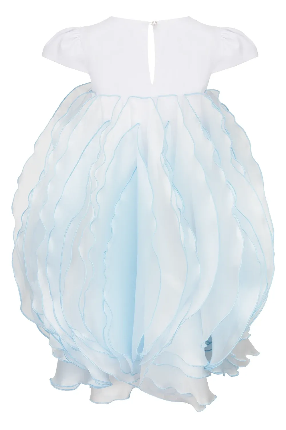 Blue Veil Dress