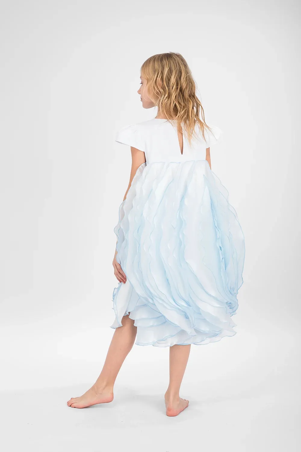 Blue Veil Dress