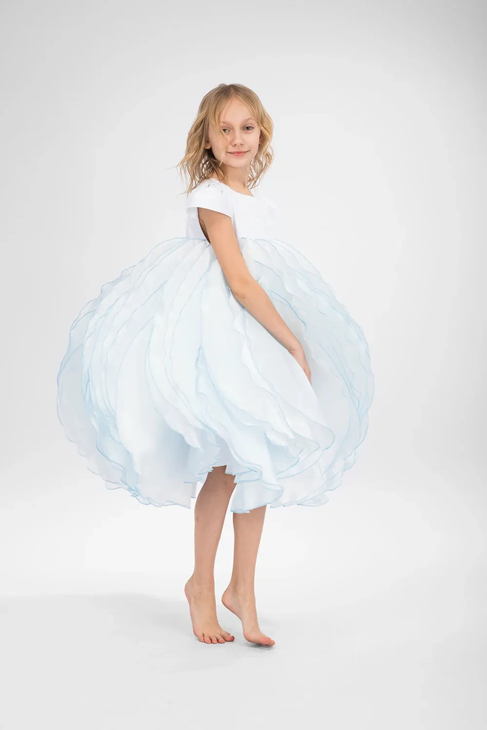 Blue Veil Dress