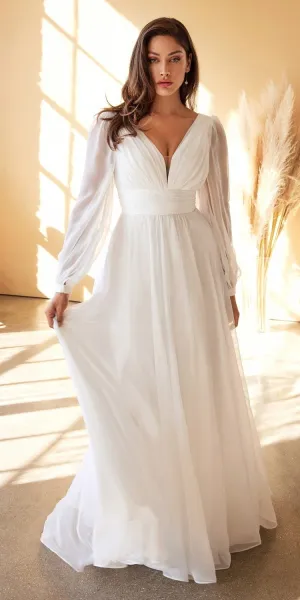 Cinderella Divine CD0192W Long Sleeve A-Line Chiffon Dress