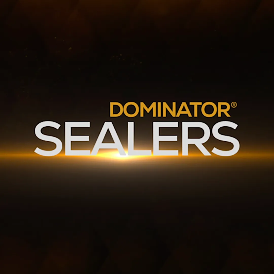 DOMINATOR LG  - Low Gloss Paver Sealer (Wet Look)