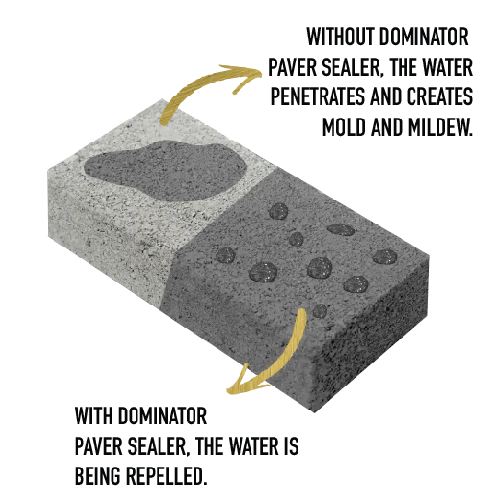 DOMINATOR SG  -  High Gloss Paver Sealer (Wet Look)