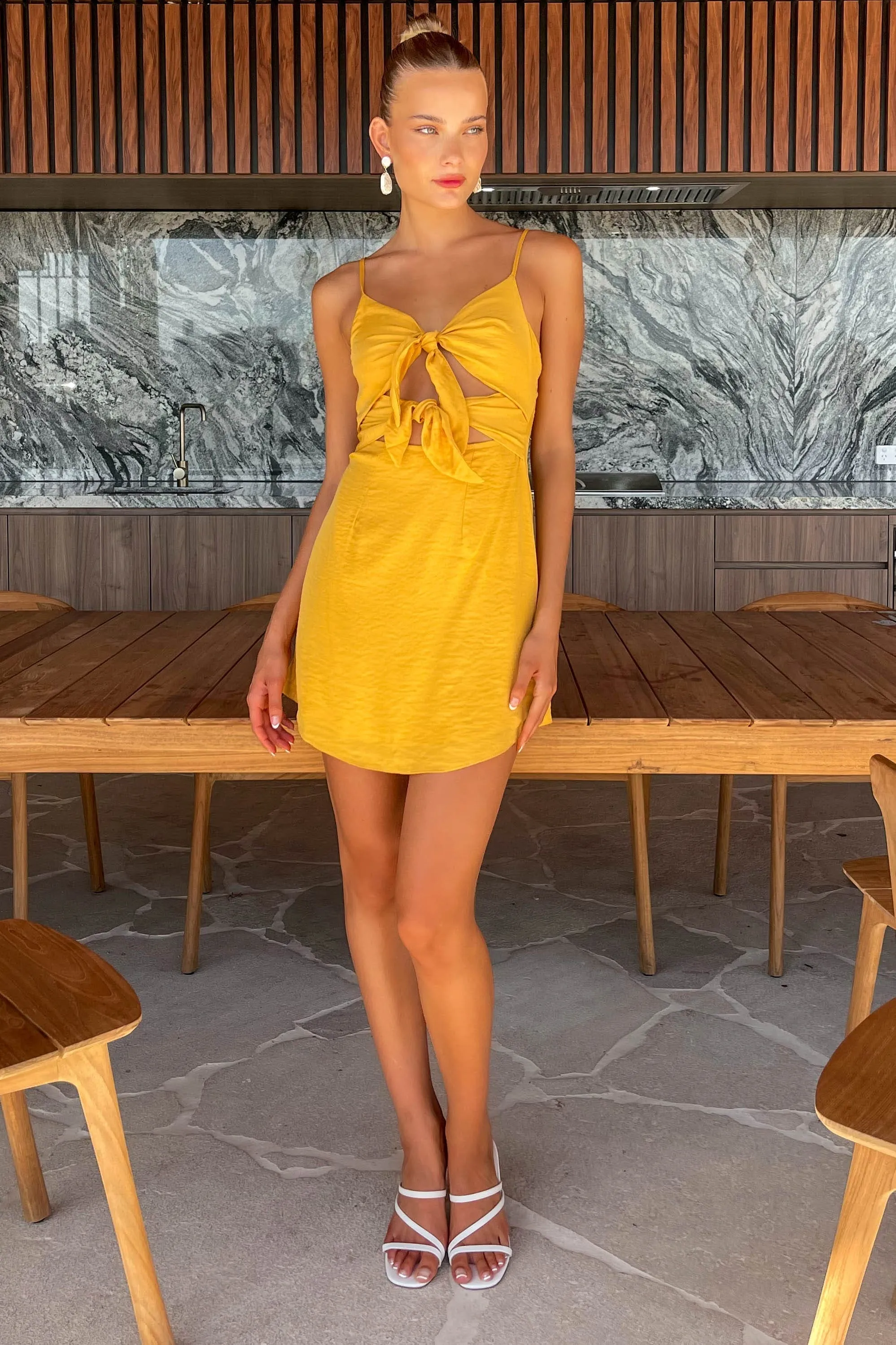 Enchante Dress