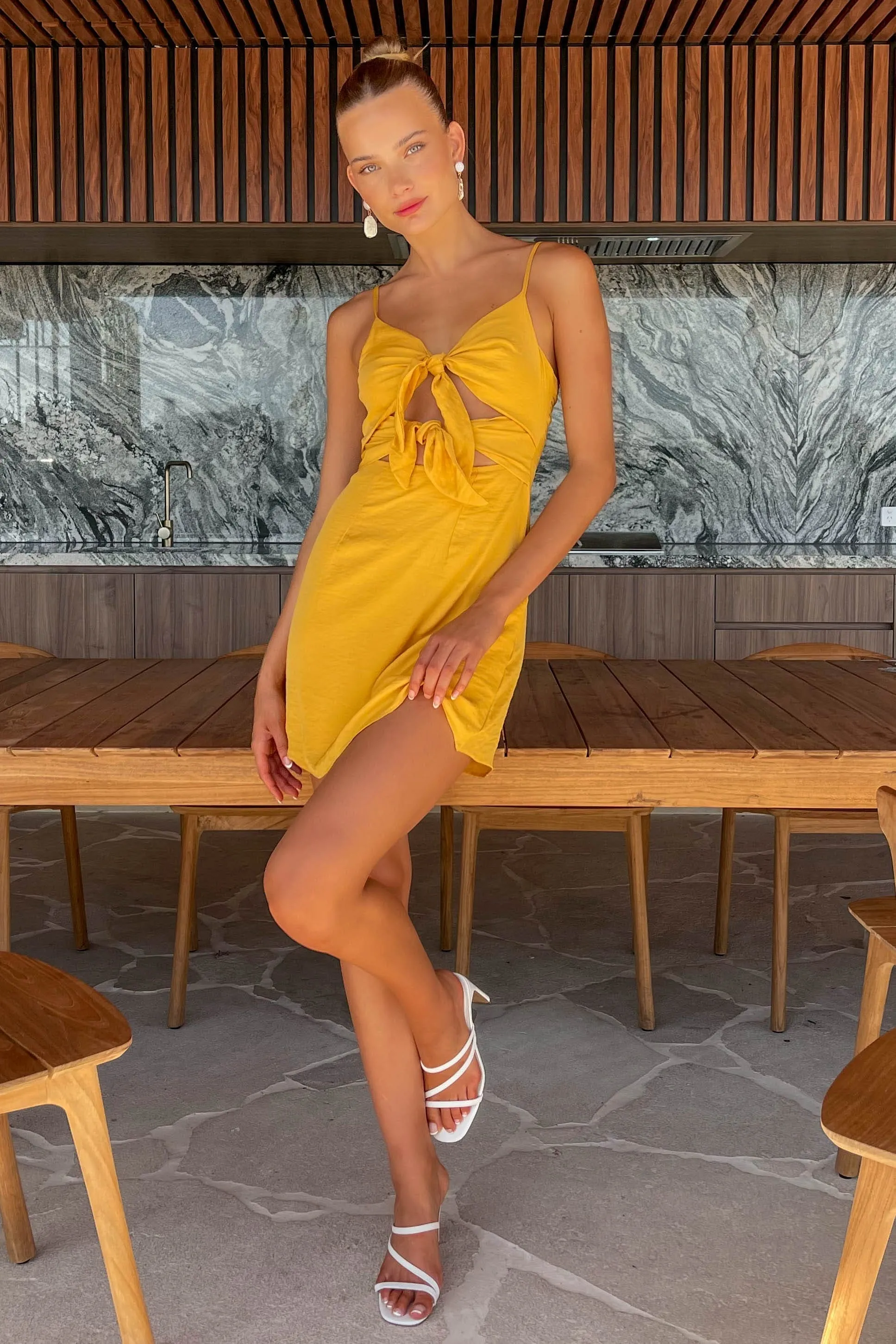 Enchante Dress