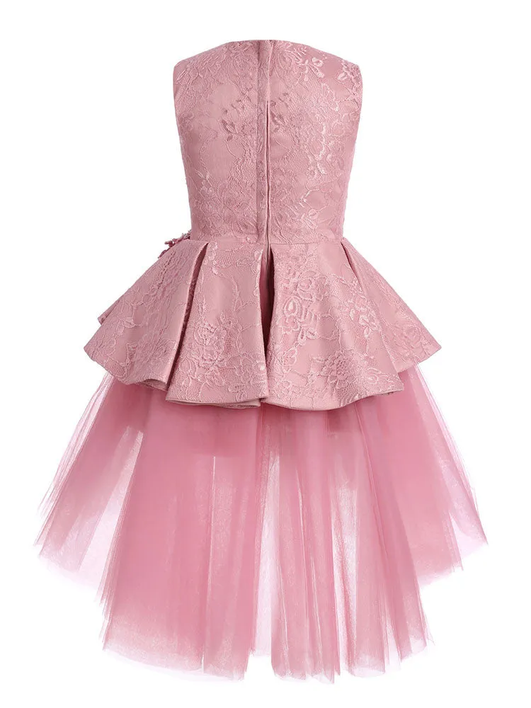 Jewel Neck Lace Sleeveless Short A-Line Applique Kids Social Party Dresses