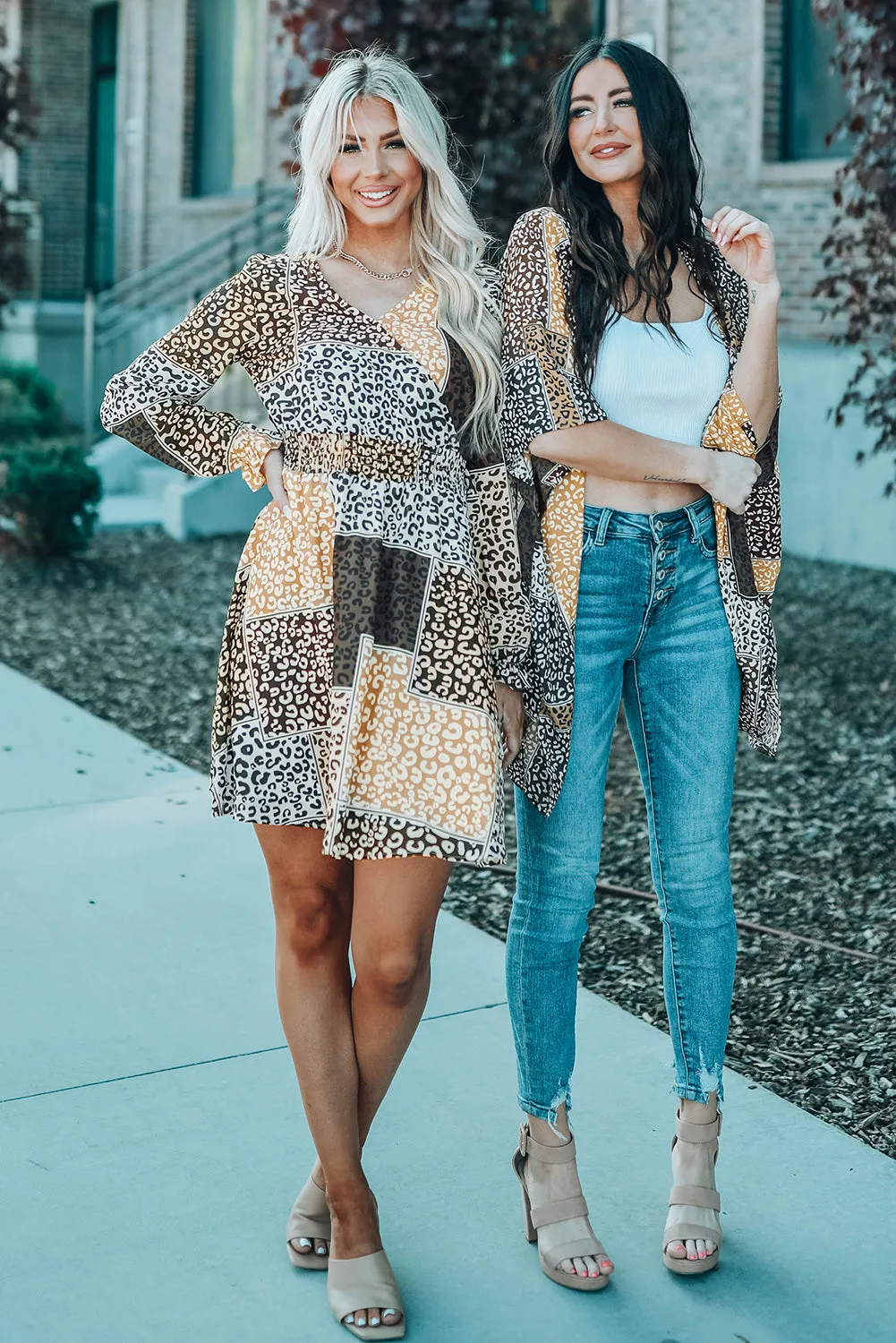 Leopard Color Block Surplice V Neck Mini Dress