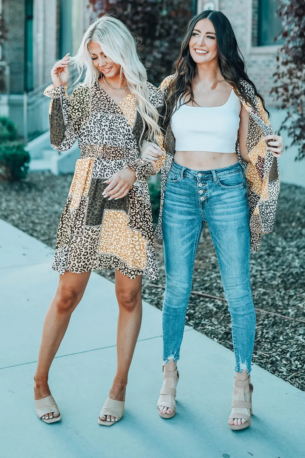 Leopard Color Block Surplice V Neck Mini Dress