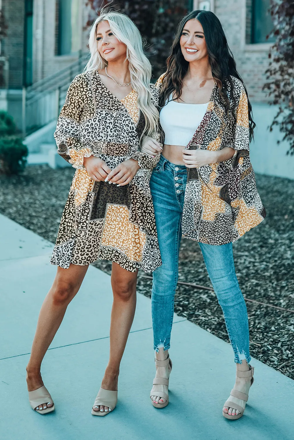 Leopard Color Block Surplice V Neck Mini Dress