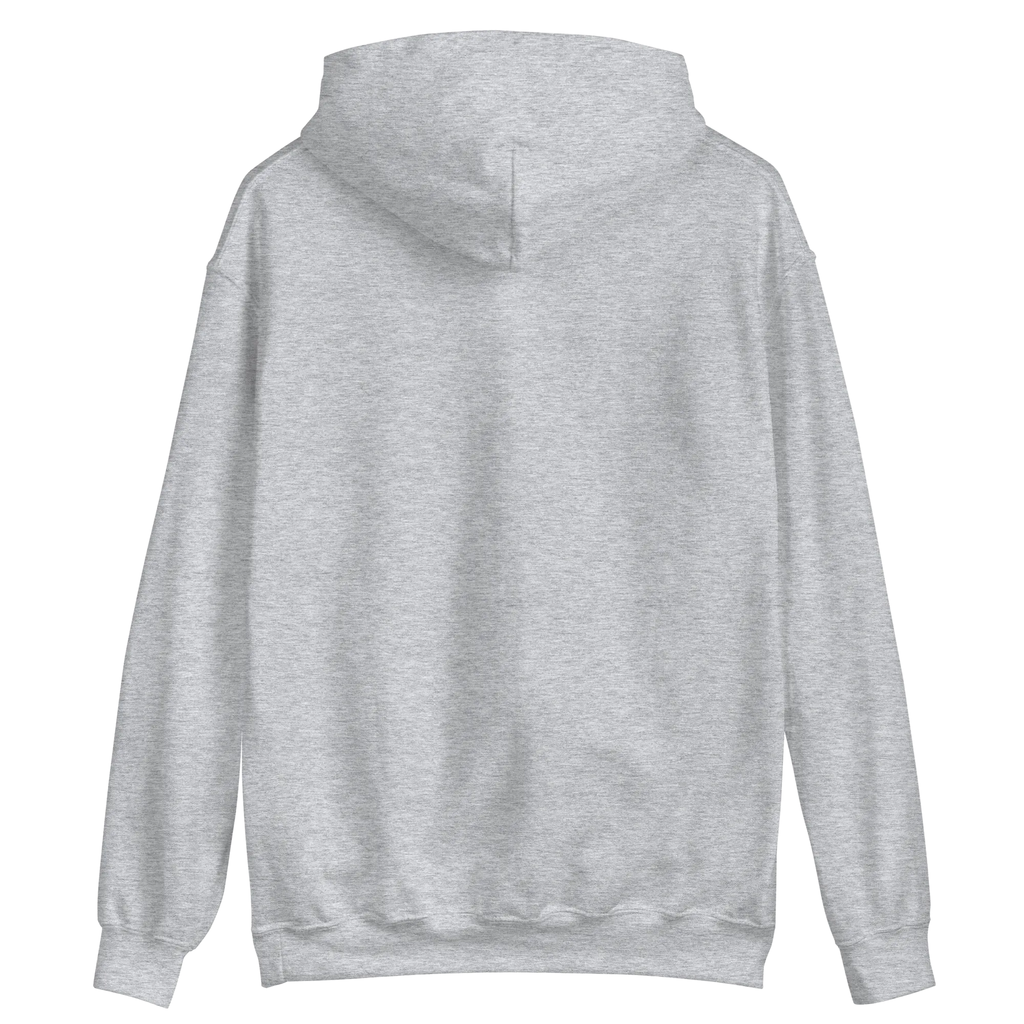 Lietuva Paris 2024 - Europe-Based Men/Women Unisex Classic Comfort Pullover Hoodie