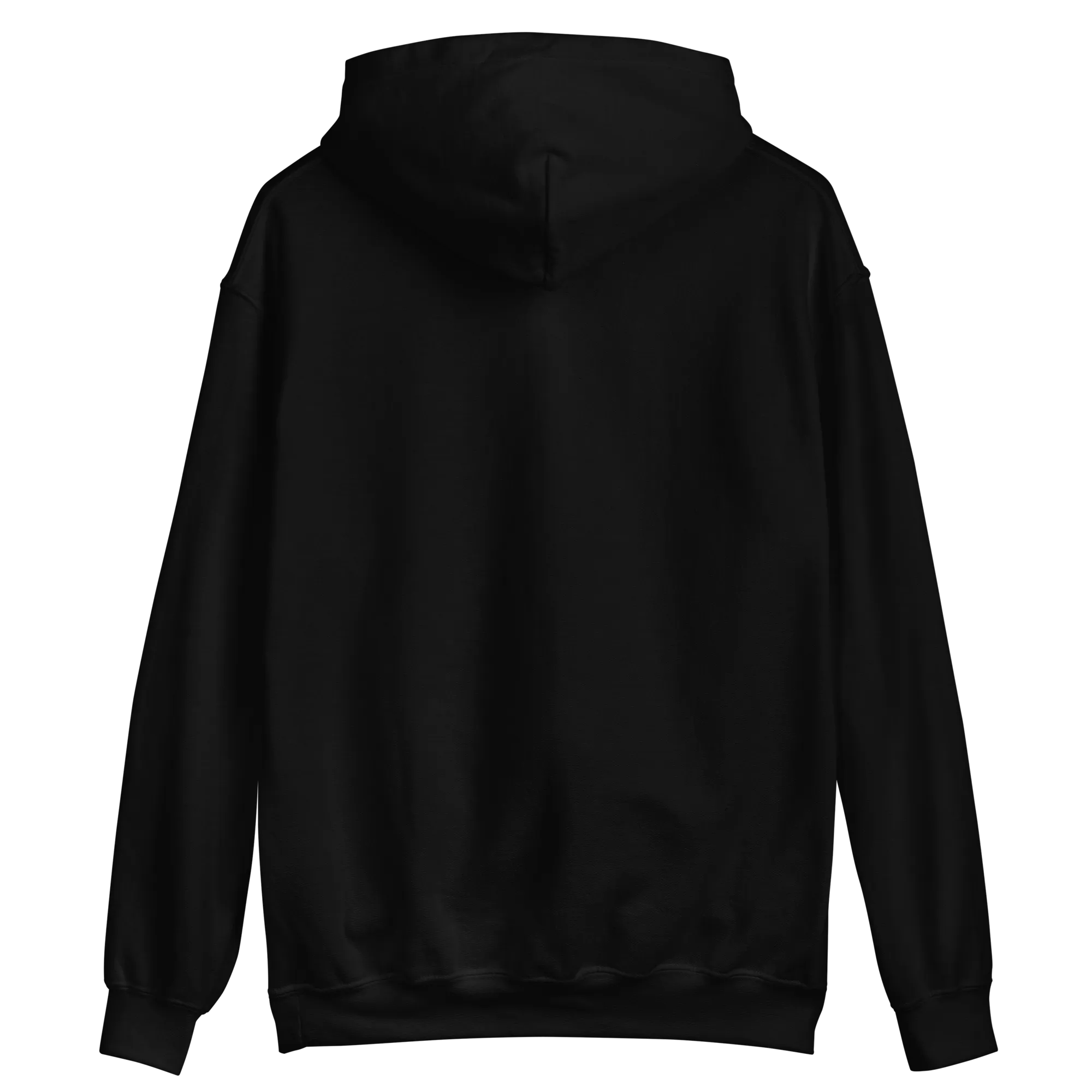 Lietuva Paris 2024 - Europe-Based Men/Women Unisex Classic Comfort Pullover Hoodie
