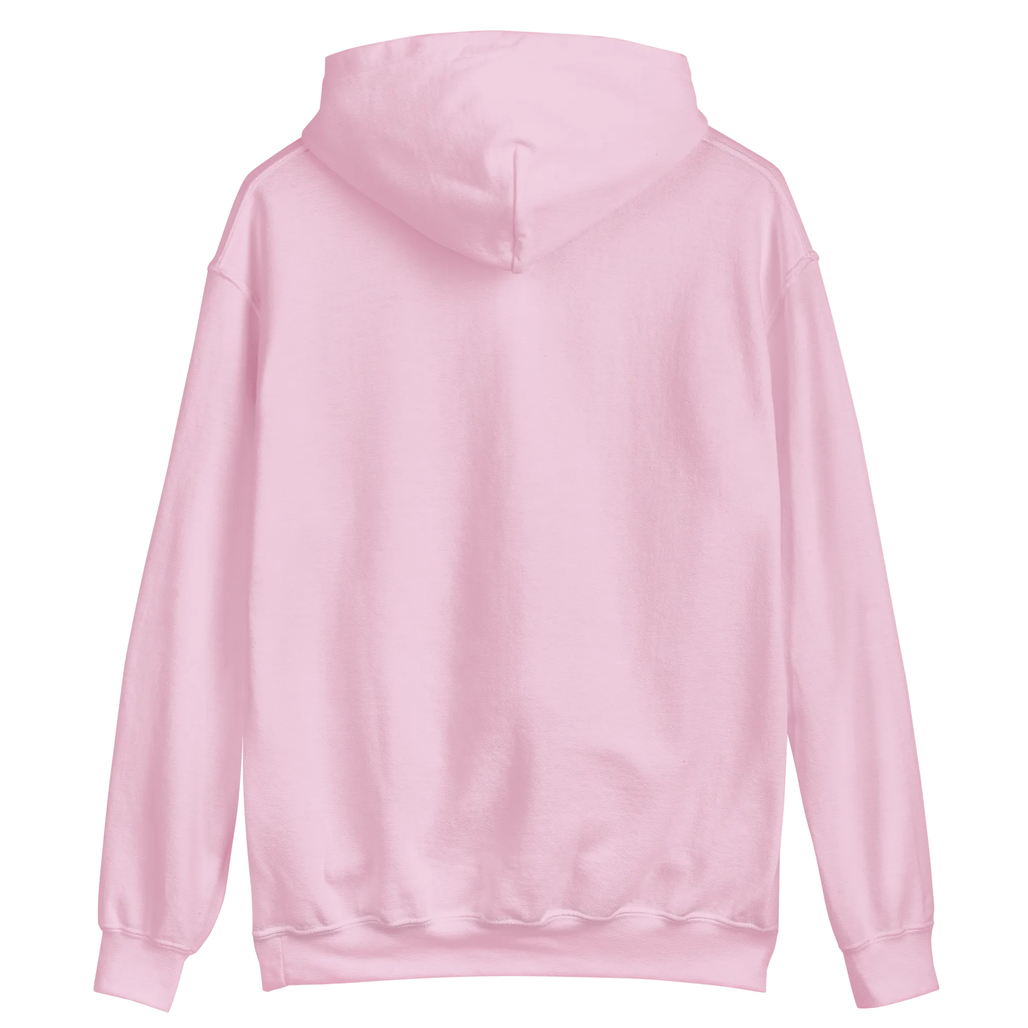 Lietuva Paris 2024 - Europe-Based Men/Women Unisex Classic Comfort Pullover Hoodie