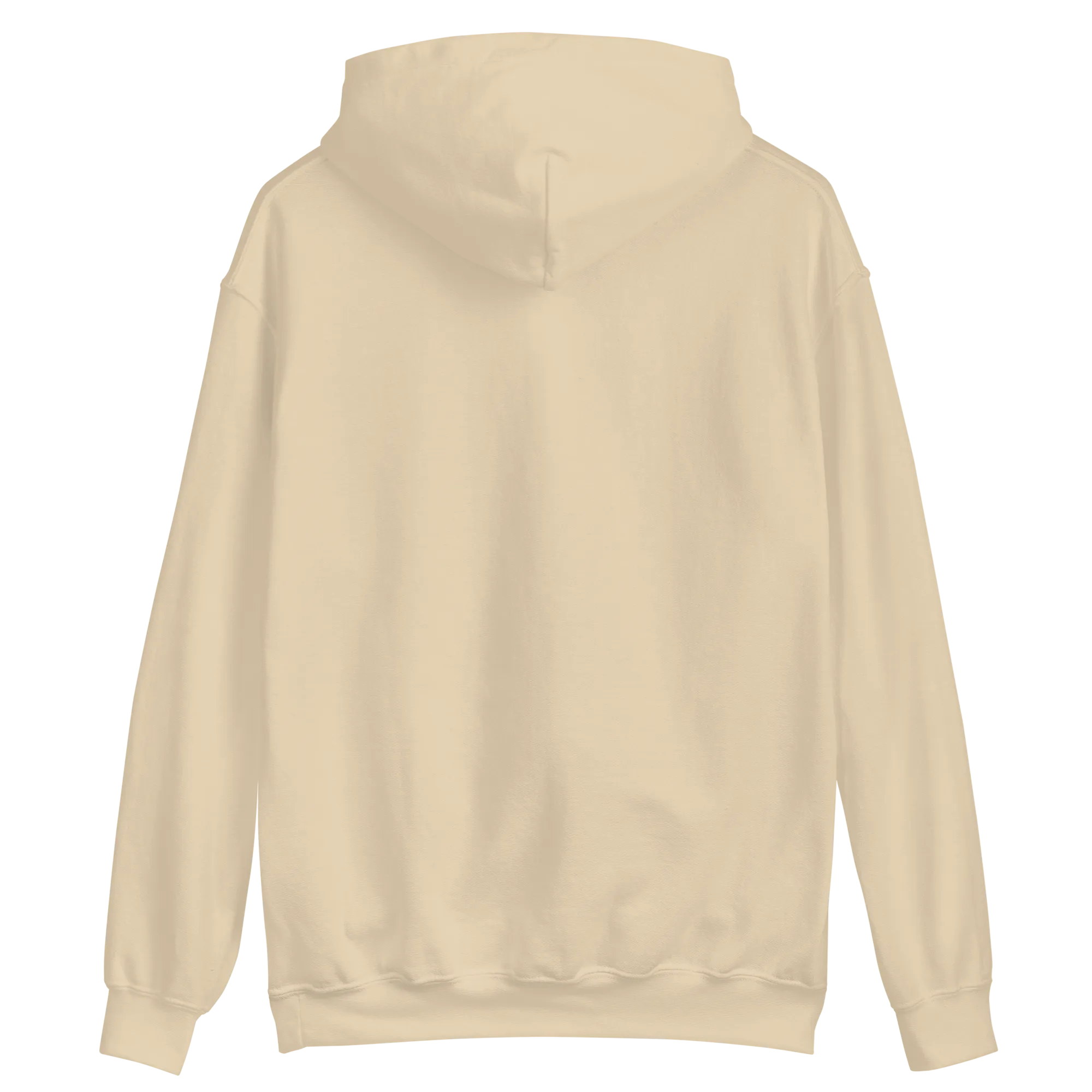 Lietuva Paris 2024 - Europe-Based Men/Women Unisex Classic Comfort Pullover Hoodie