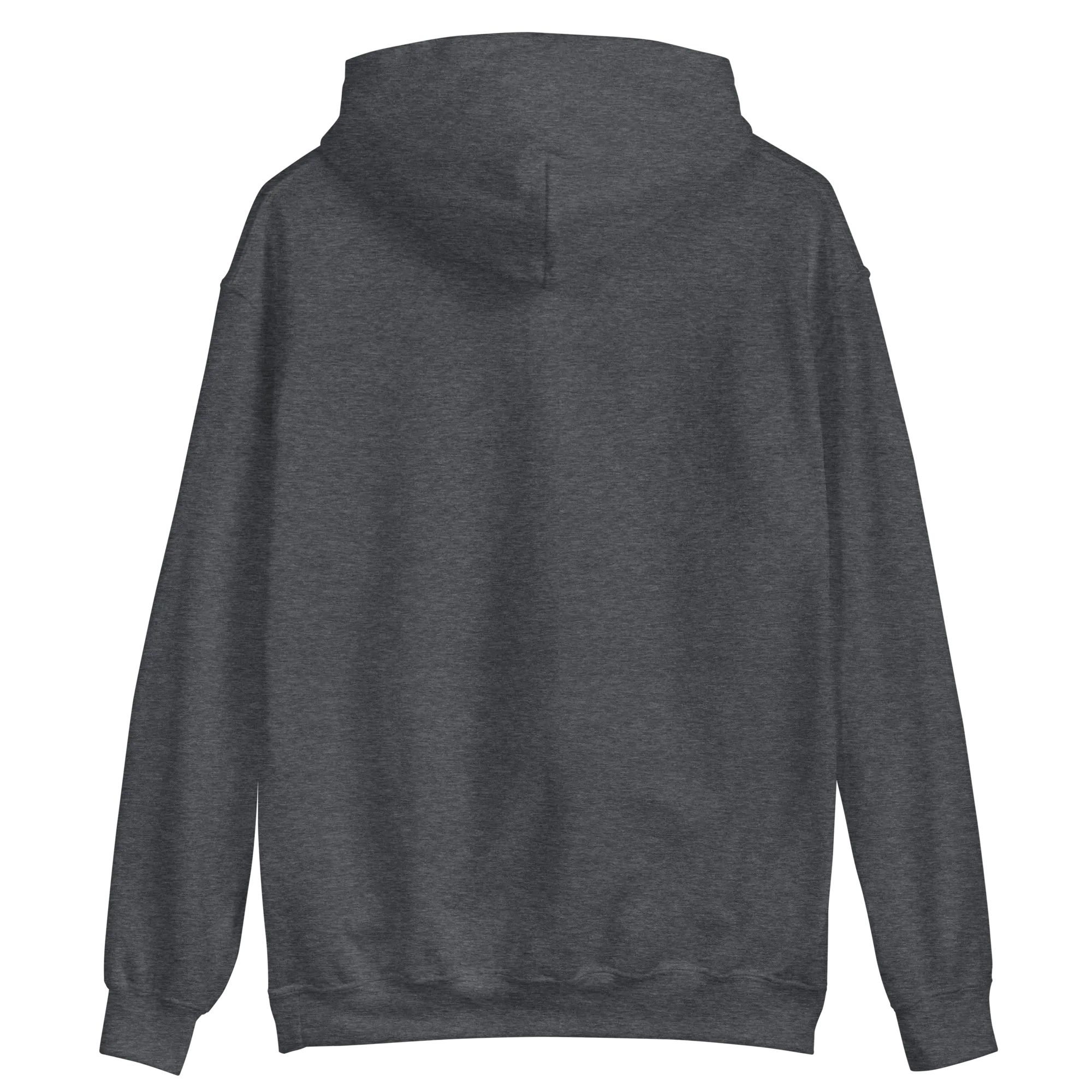 Lietuva Paris 2024 - Europe-Based Men/Women Unisex Classic Comfort Pullover Hoodie