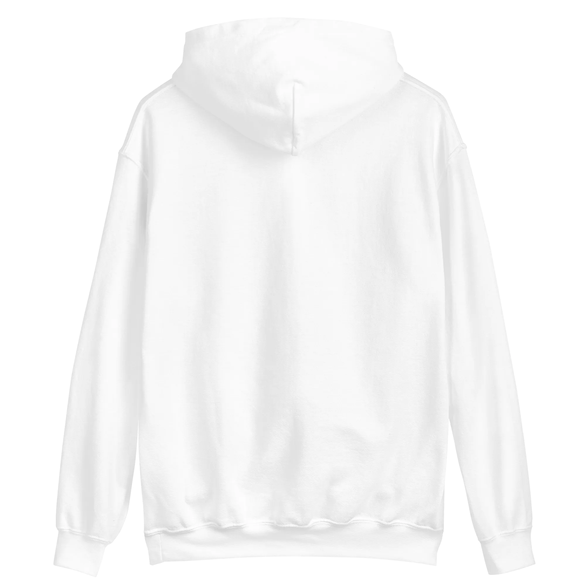Lietuva Paris 2024 - Europe-Based Men/Women Unisex Classic Comfort Pullover Hoodie