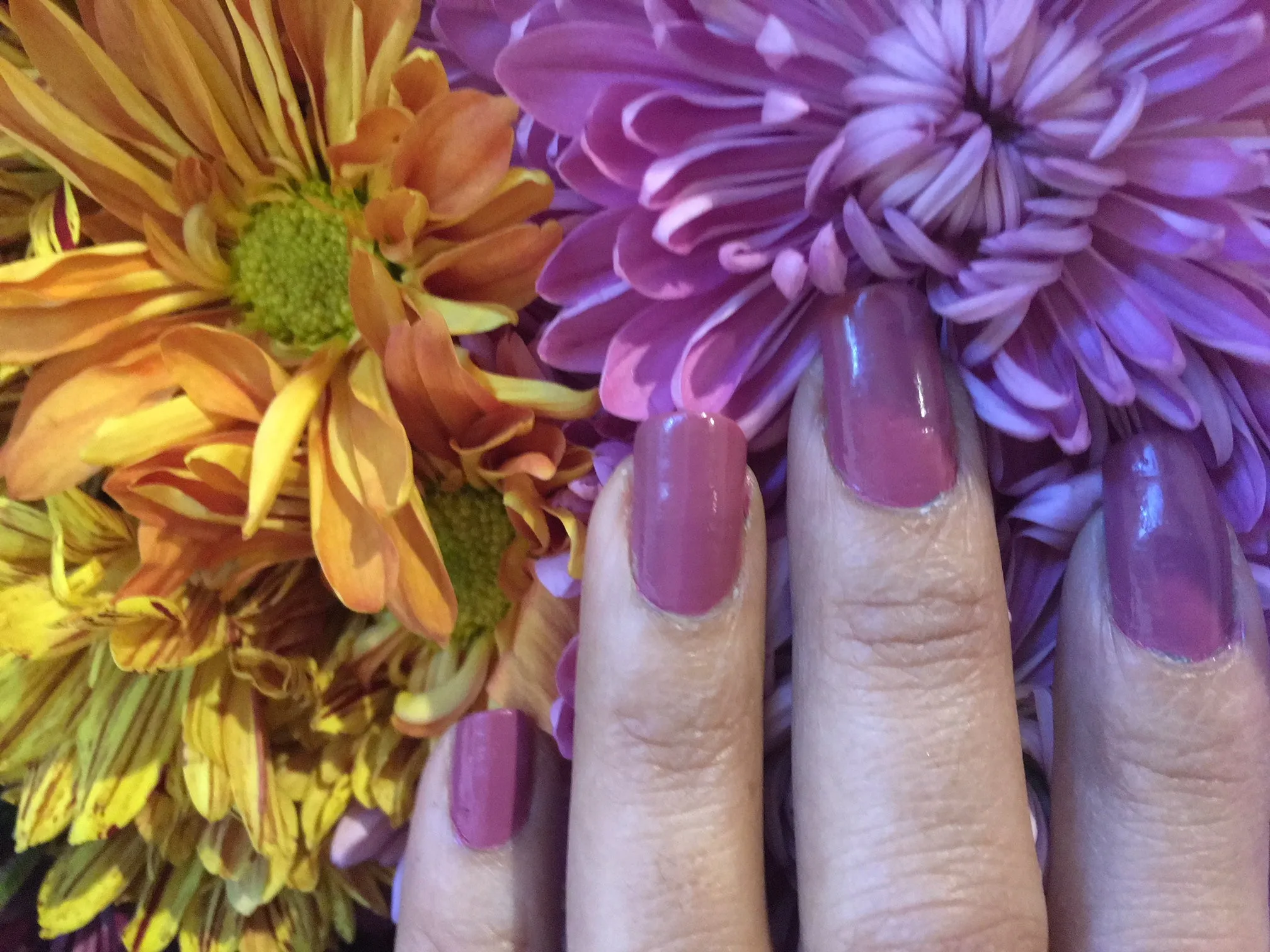 Mauve Nail Lacquer