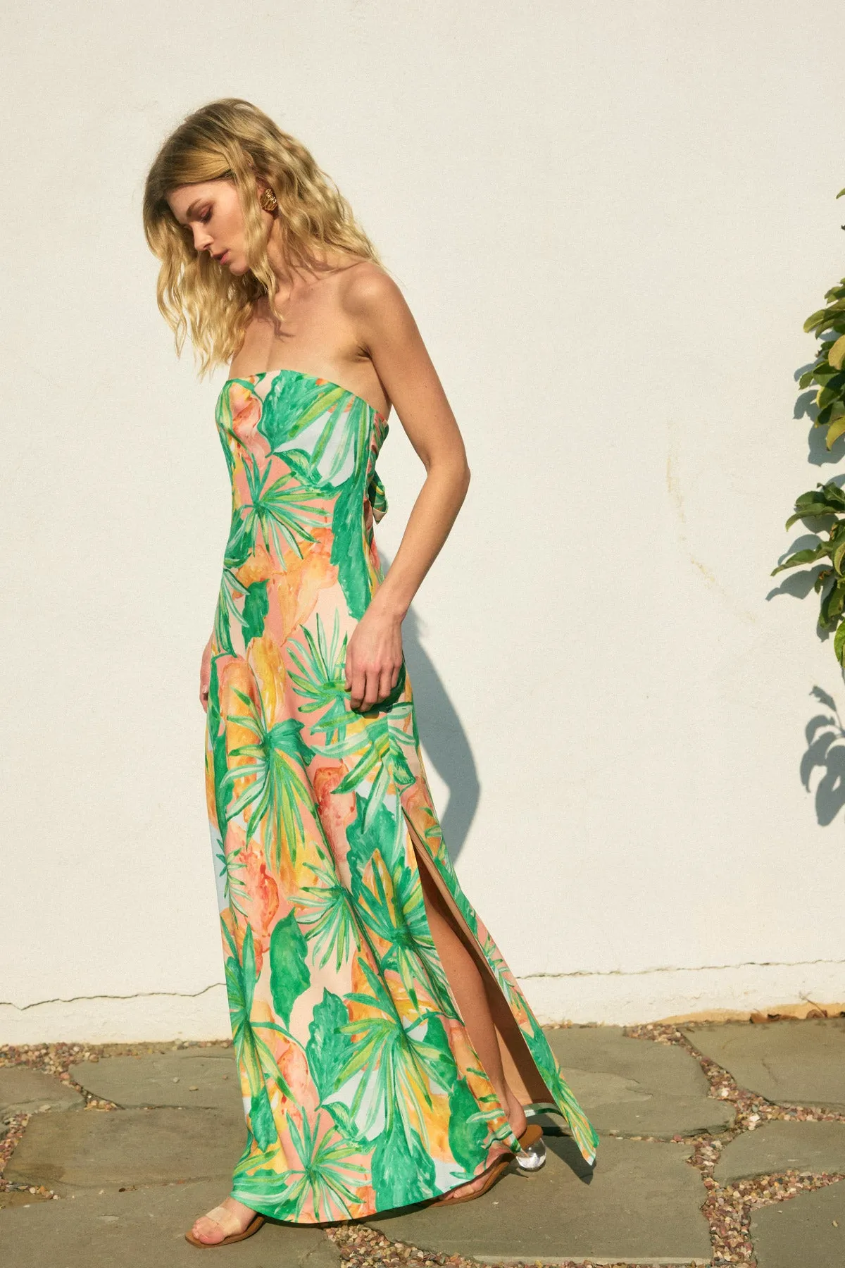 Naira Strapless Tie Back Maxi Dress