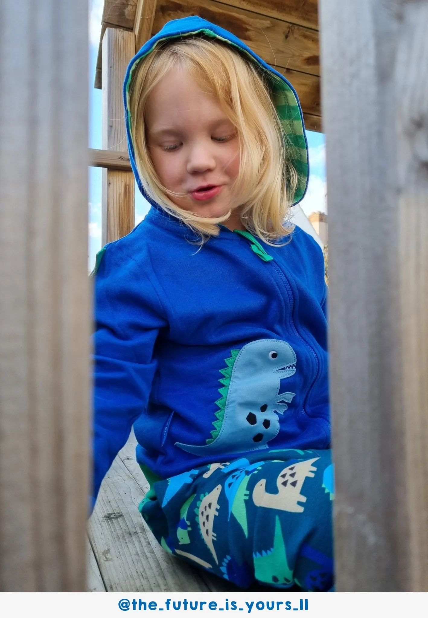 Organic Tonal Dinosaur Applique Hoodie