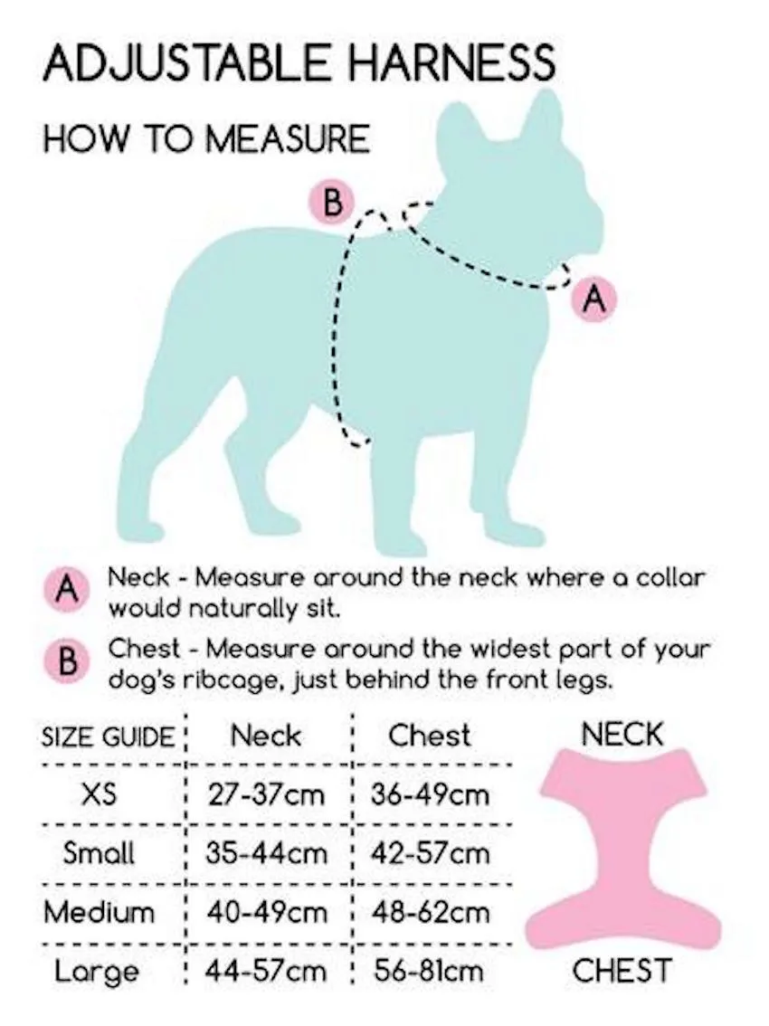 Pawsome Paws - D-Ring Adjustable Dog Harness – Gregory The Giraffe