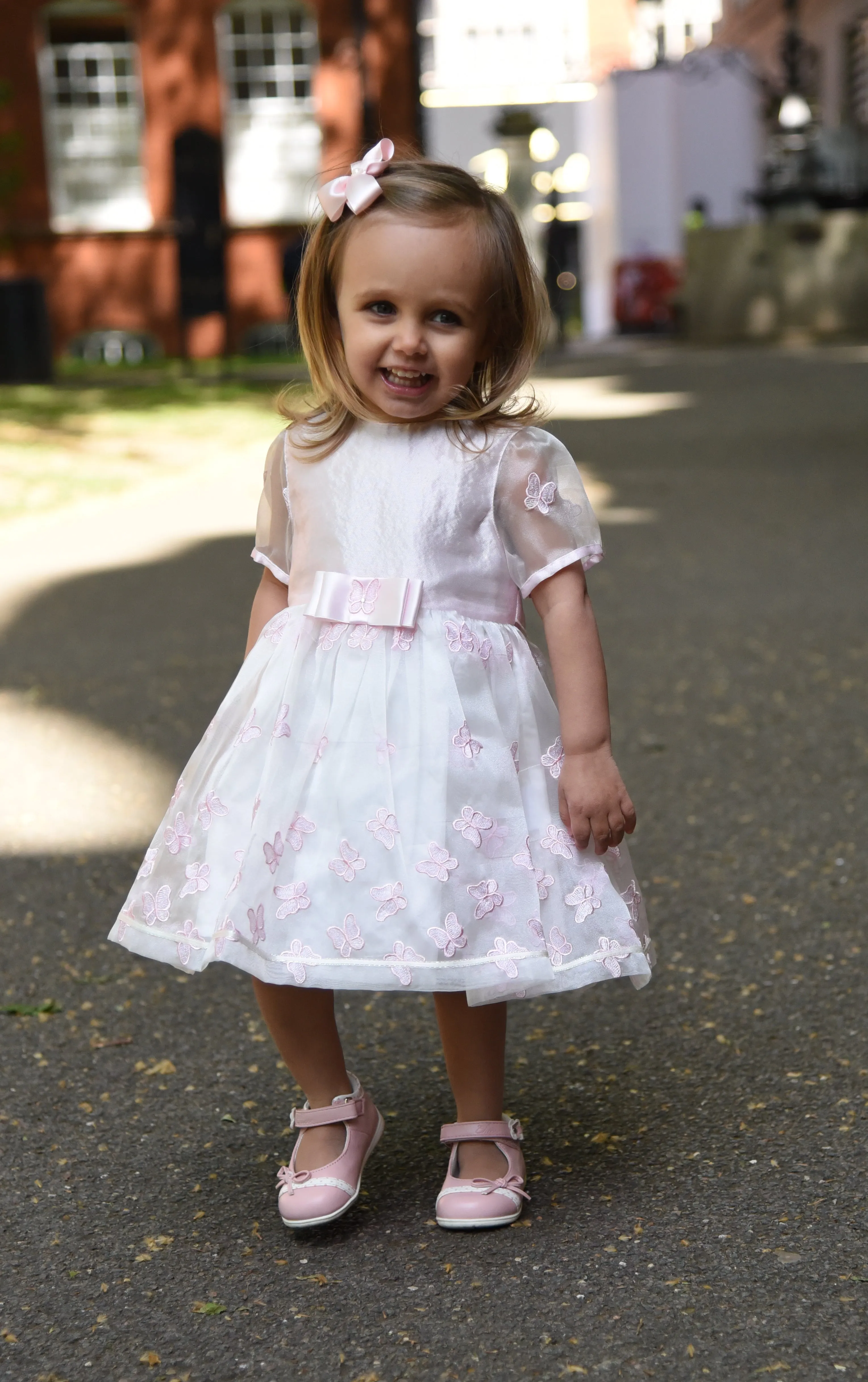 Pink Embroidered Butterfly Chiffon Dress
