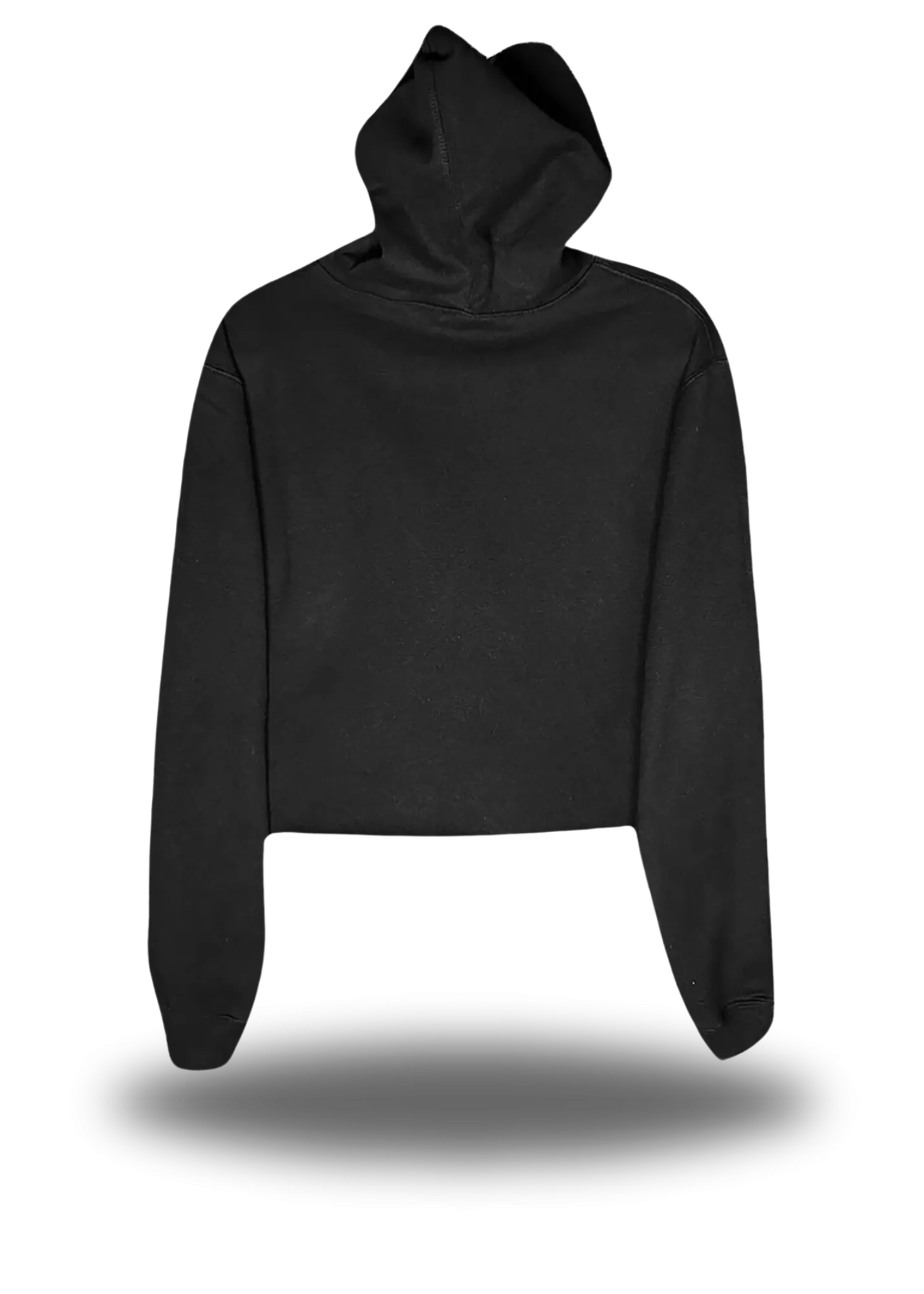 PROVE THEM WRONG CROP HOODIE