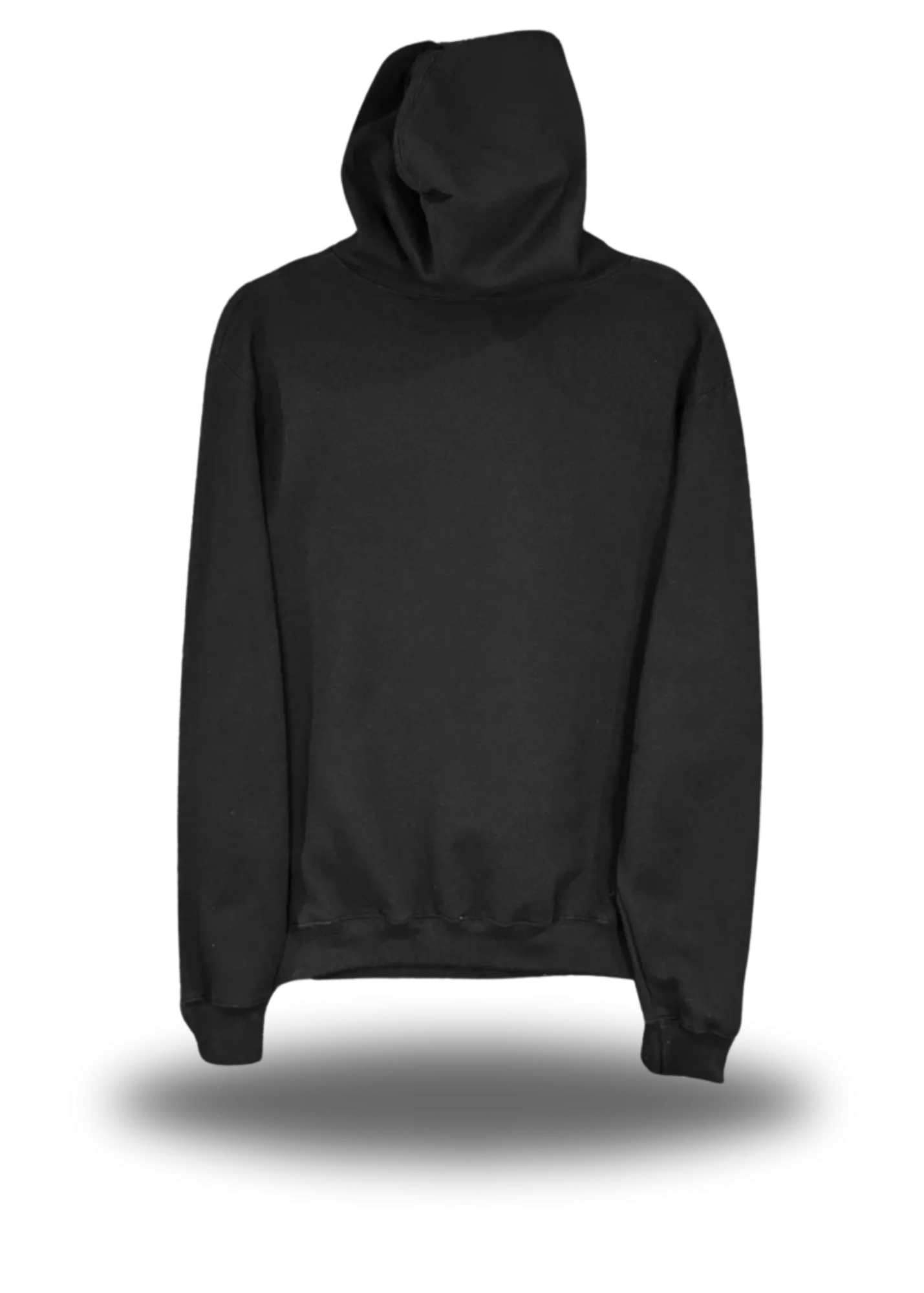 PROVE THEM WRONG HOODIE