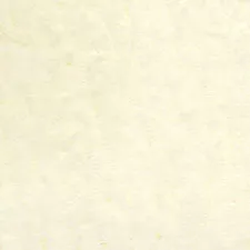 Solvent Free Wall Paint - Base Price