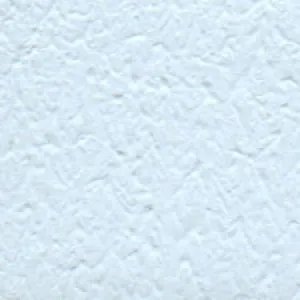 Solvent Free Wall Paint - Base Price