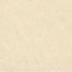 Solvent Free Wall Paint - Base Price