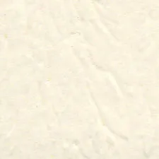 Solvent Free Wall Paint - Base Price