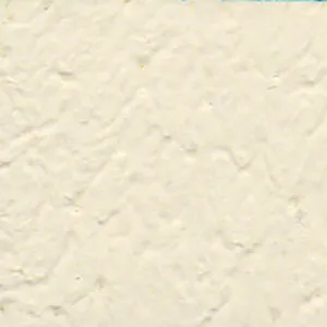 Solvent Free Wall Paint - Light Tint
