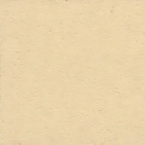 Solvent Free Wall Paint - Light Tint