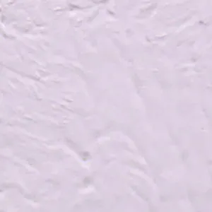 Solvent Free Wall Paint - Light Tint