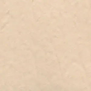 Solvent Free Wall Paint - Light Tint