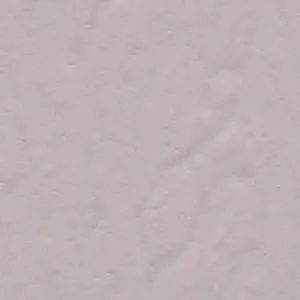 Solvent Free Wall Paint - Light Tint