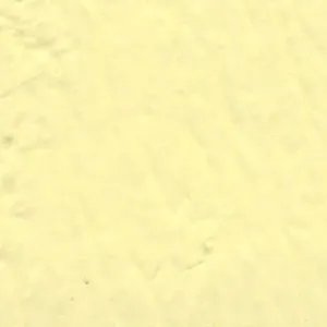 Solvent Free Wall Paint - Light Tint