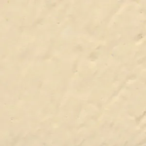 Solvent Free Wall Paint - Light Tint