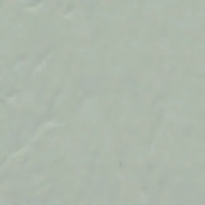 Solvent Free Wall Paint - Premium Tint