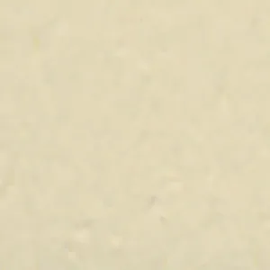 Solvent Free Wall Paint - Premium Tint