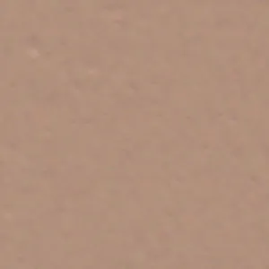 Solvent Free Wall Paint - Premium Tint