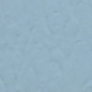 Solvent Free Wall Paint - Premium Tint