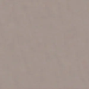 Solvent Free Wall Paint - Premium Tint