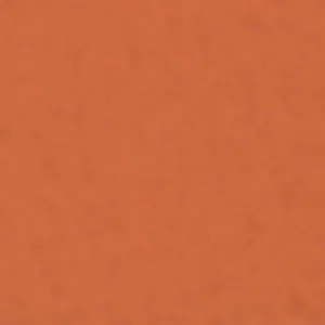 Solvent Free Wall Paint - Premium Tint