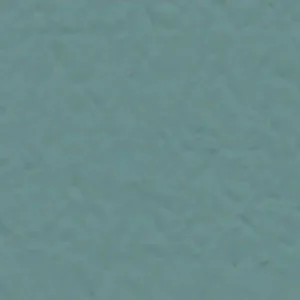 Solvent Free Wall Paint - Premium Tint