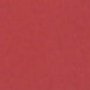 Solvent Free Wall Paint - Premium Tint